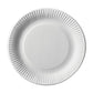 round paper plates 