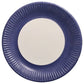 blue paper plate